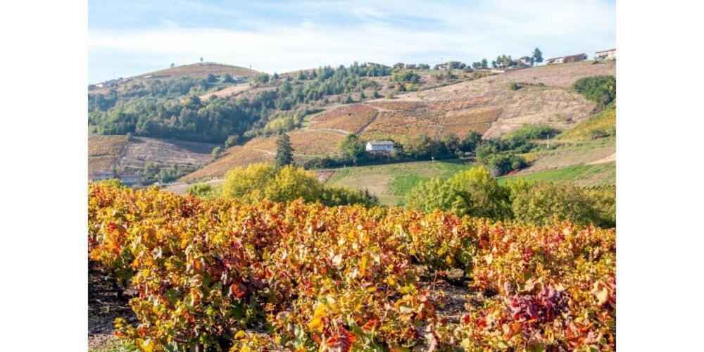 Le Cosy Shelby Proche Gare 150M Διαμέρισμα Villefranche-sur-Saône Εξωτερικό φωτογραφία